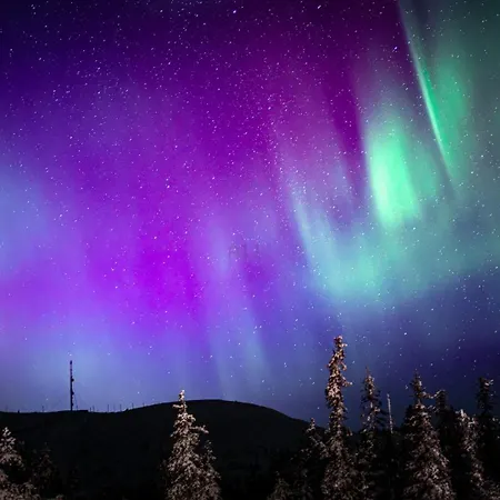 Aurora Heights *